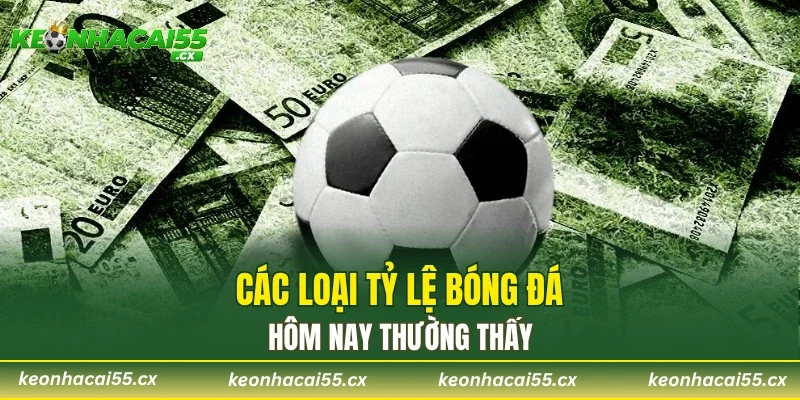 Các loại tỷ lệ bóng đá hôm nay thường thấy 