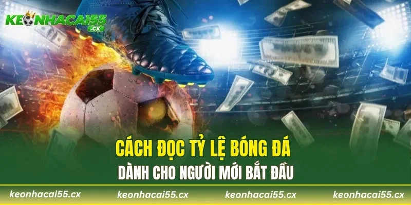 Cách đọc tỷ lệ kèo bóng đá dành cho người mới bắt đầu