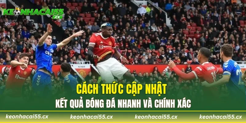Cách thức cập nhật kết quả bóng đá nhanh và chính xác