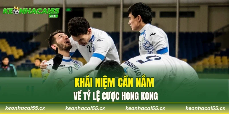 Khái niệm cần nắm về tỷ lệ cược Hong Kong