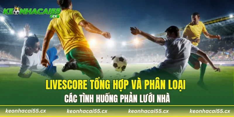 Livescore tổng hợp và phân loại các tình huống phản lưới nhà