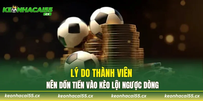 Lý do thành viên nên dồn tiền vào kèo lội ngược dòng