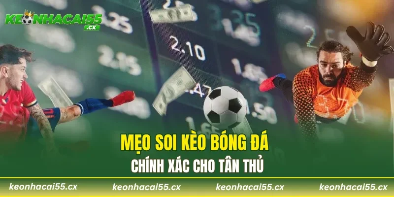 Mẹo soi kèo bóng đá chính xác cho tân thủ
