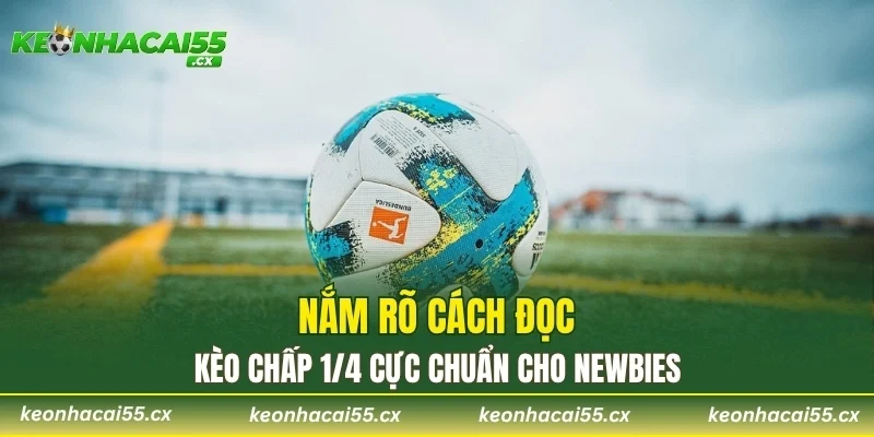 Nắm rõ cách đọc kèo chấp 1/4 cực chuẩn cho newbies