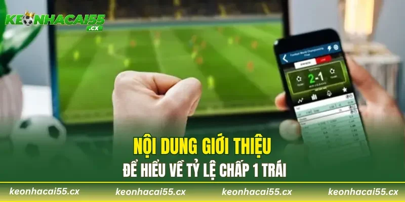 Nội dung giới thiệu để hiểu về tỷ lệ chấp 1 trái