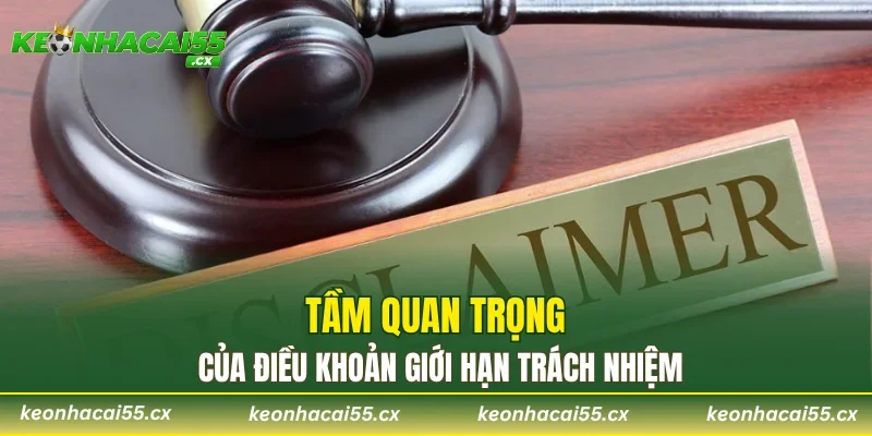 Tầm quan trọng của điều khoản giới hạn trách nhiệm