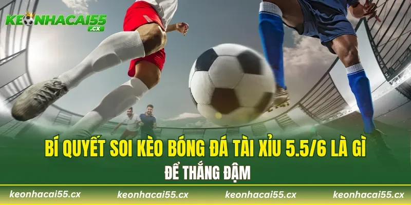 Bí quyết soi kèo bóng đá Tài Xỉu 5.5/6 là gì để thắng đậm