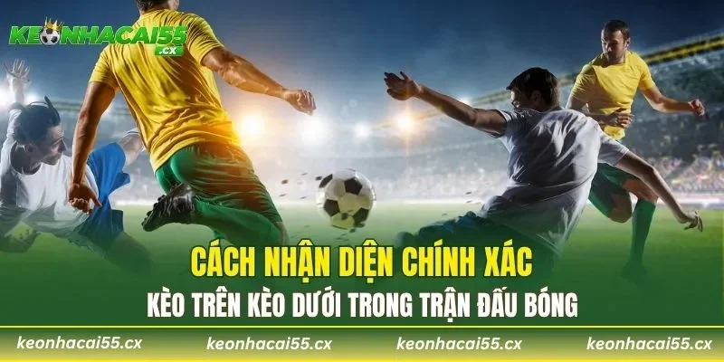 Cách nhận diện chính xác kèo trên kèo dưới trong trận đấu bóng
