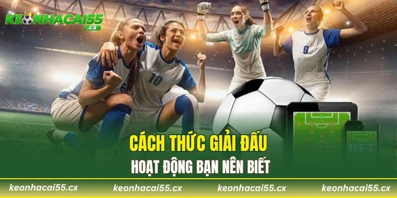 Cách thức giải đấu hoạt động bạn nên biết