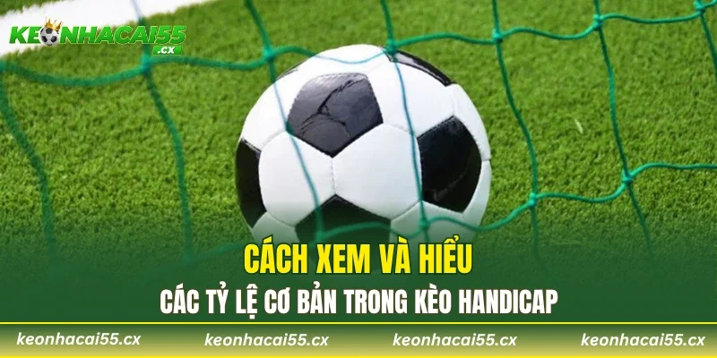 Cách xem và hiểu các tỷ lệ cơ bản trong kèo Handicap