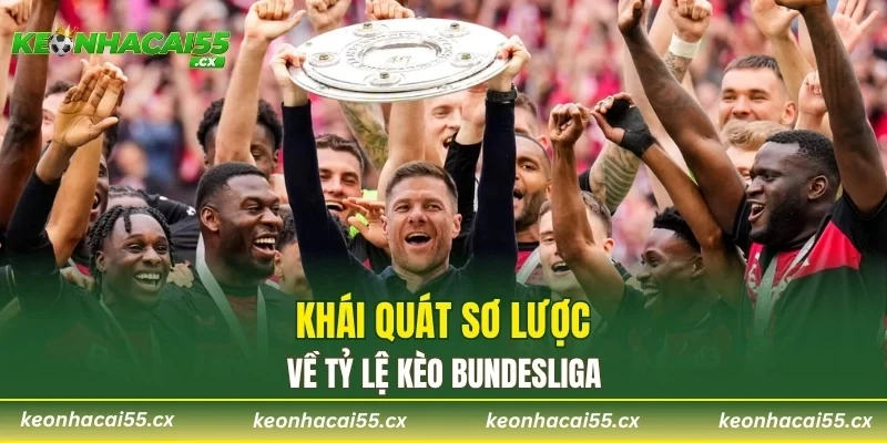 Khái quát sơ lược về tỷ lệ kèo Bundesliga