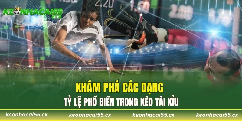 Khám phá các dạng tỷ lệ phổ biến trong kèo tài xỉu