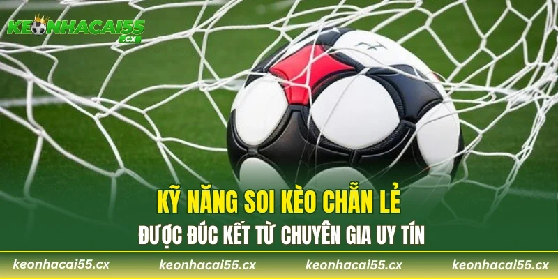 Kỹ năng soi kèo chẵn lẻ được đúc kết từ chuyên gia uy tín