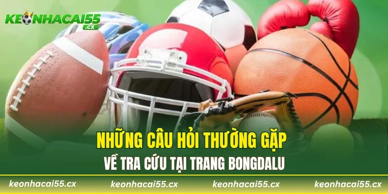 Những câu hỏi thường gặp về tra cứu tại trang Bongdalu