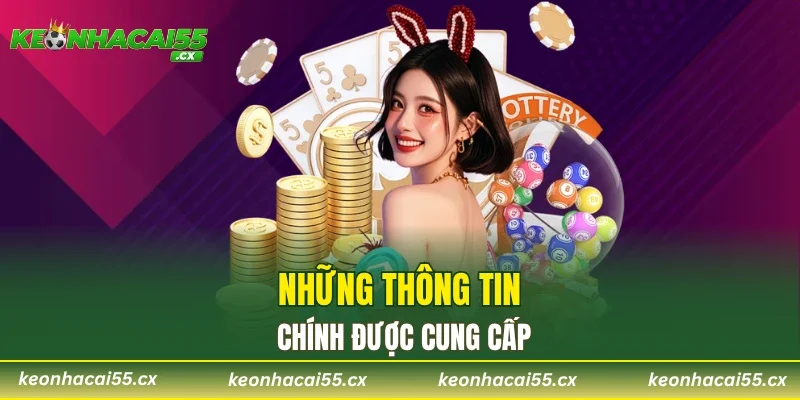 Những thông tin chính được cung cấp
