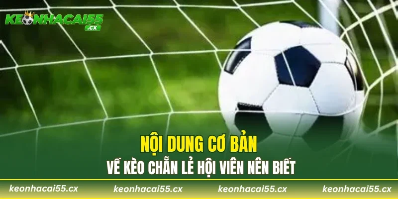 Nội dung cơ bản về kèo chẵn lẻ hội viên nên biết