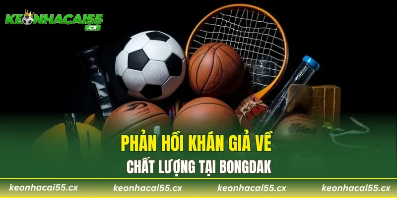 Phản hồi khán giả về chất lượng tại Bongdako