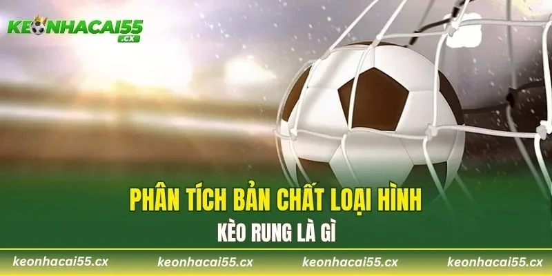 Phân tích bản chất loại hình kèo rung là gì