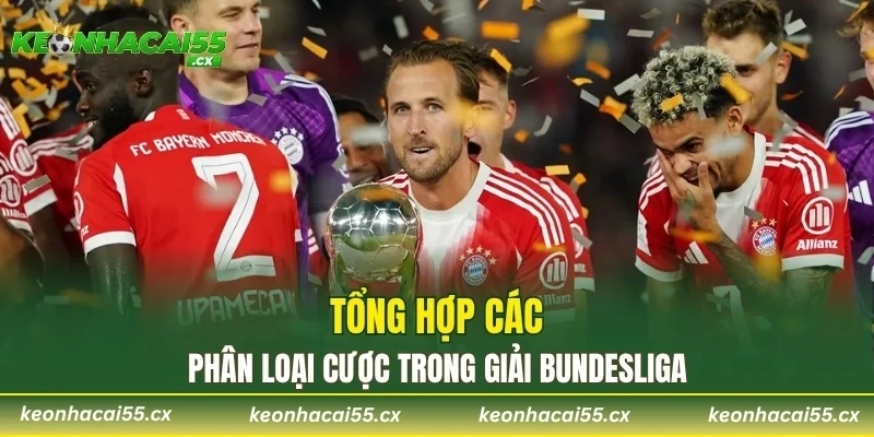 Tổng hợp các phân loại cược trong giải Bundesliga