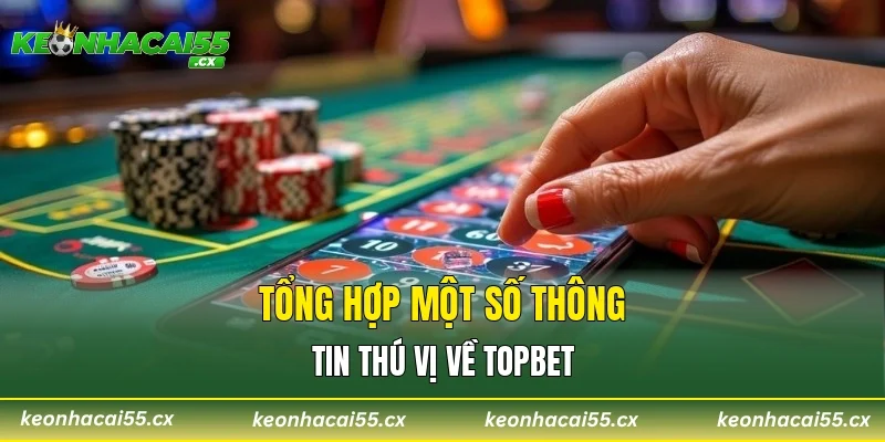 Tổng hợp một số thông tin thú vị về TOPBET